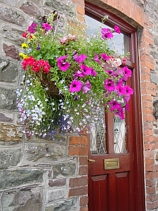 flowerarr1.jpg